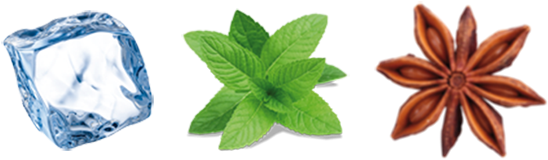An Icy Burst Of Fresh Mint Leaves - Perennial Herb Mint Seeds (600x208), Png Download