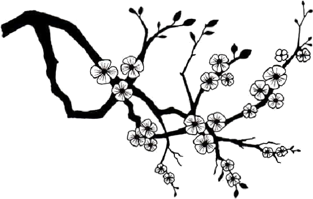 Sakura-blossom - Cherry Blossom Silhouette Png (640x480), Png Download