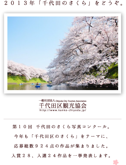 It Is Isao Takahashi Under The Grand Prix "cherry Tree" - Chidorigafuchi Park (413x533), Png Download