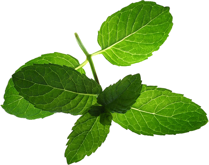 Mint (674x533), Png Download