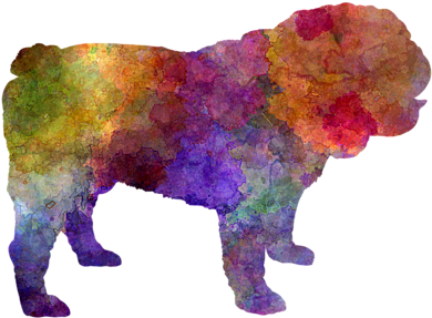 Bleed Area May Not Be Visible - English Bulldog In Watercolor (600x480), Png Download