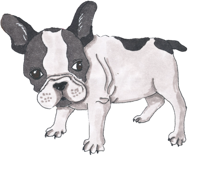 Zazzle Mädchen Mit Bulldogge Iphone 8 Plus/7 Plus Hülle (1024x1280), Png Download