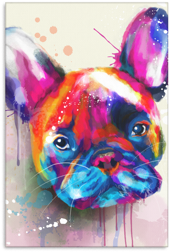 French Bulldog Canvas Wrap 2402th - French Bulldog (1024x1024), Png Download