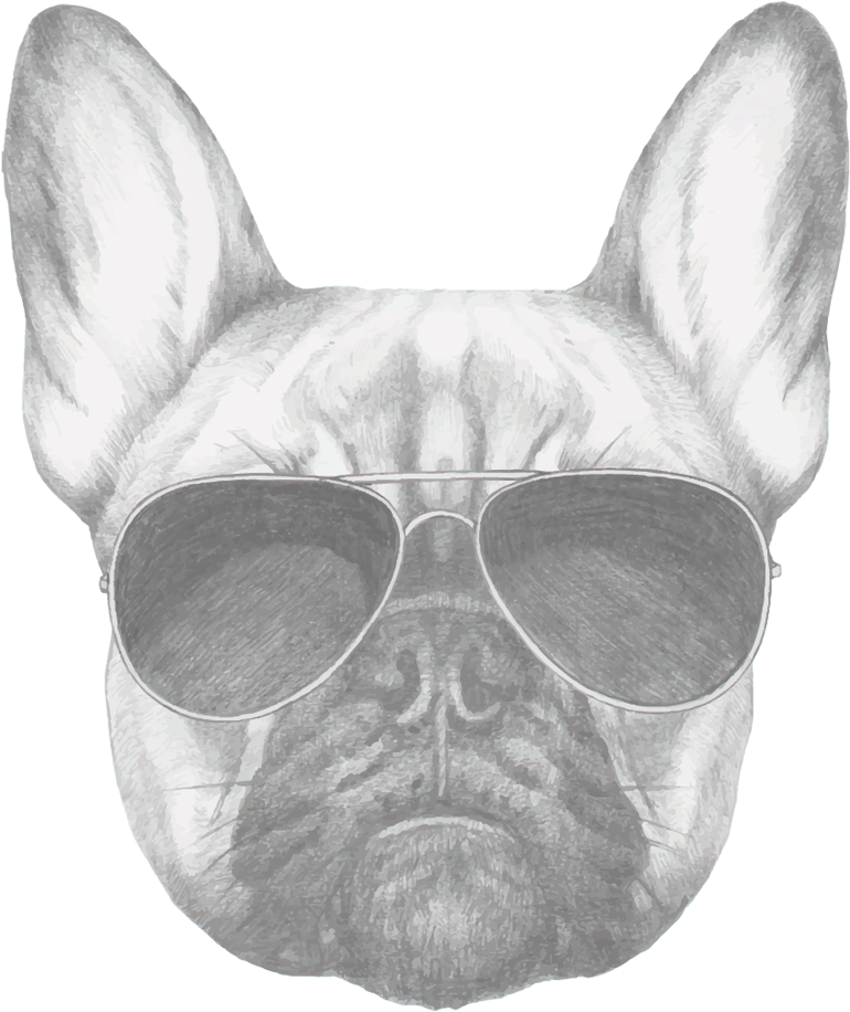 French Bulldog Secrets - French Bulldog Drawing (1200x1200), Png Download