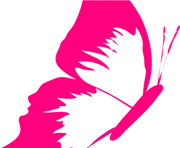 Bow Clipart Fuschia - Butterfly Clip Art (640x480), Png Download