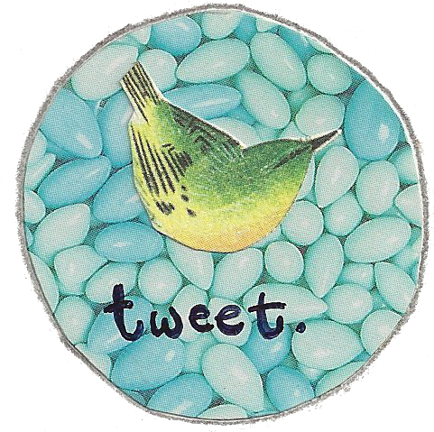 Facebook Twitter Pinterest - Budgie (492x478), Png Download