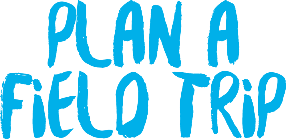 Plan A Field Trip - Field Trip (1000x486), Png Download