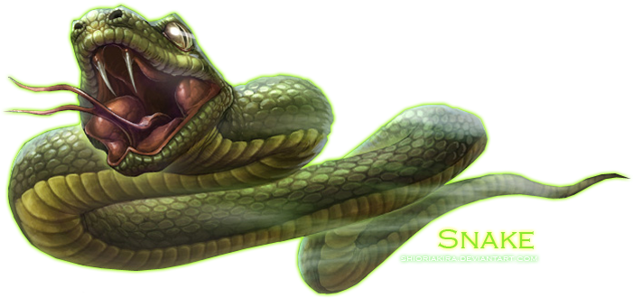 Snake Png Clipart - Portable Network Graphics (700x367), Png Download