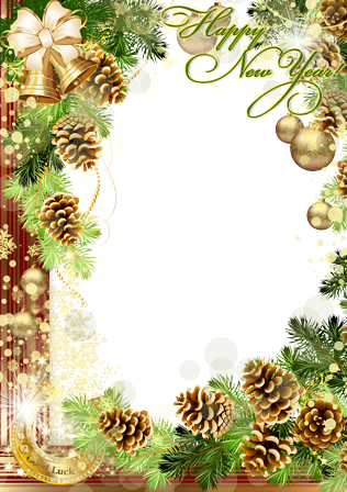 Good Luck In The New Year - Cadre Photo Bonne Année (316x448), Png Download