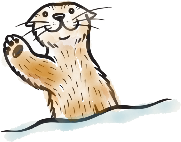 Png Transparent Stock Sea Transparent Free On Dumielauxepices - Ferret (800x664), Png Download
