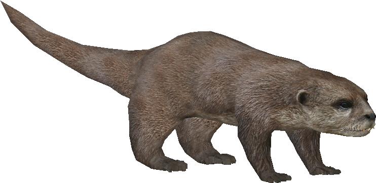 Asianotterludo - Zoo Tycoon Otter Png (771x771), Png Download