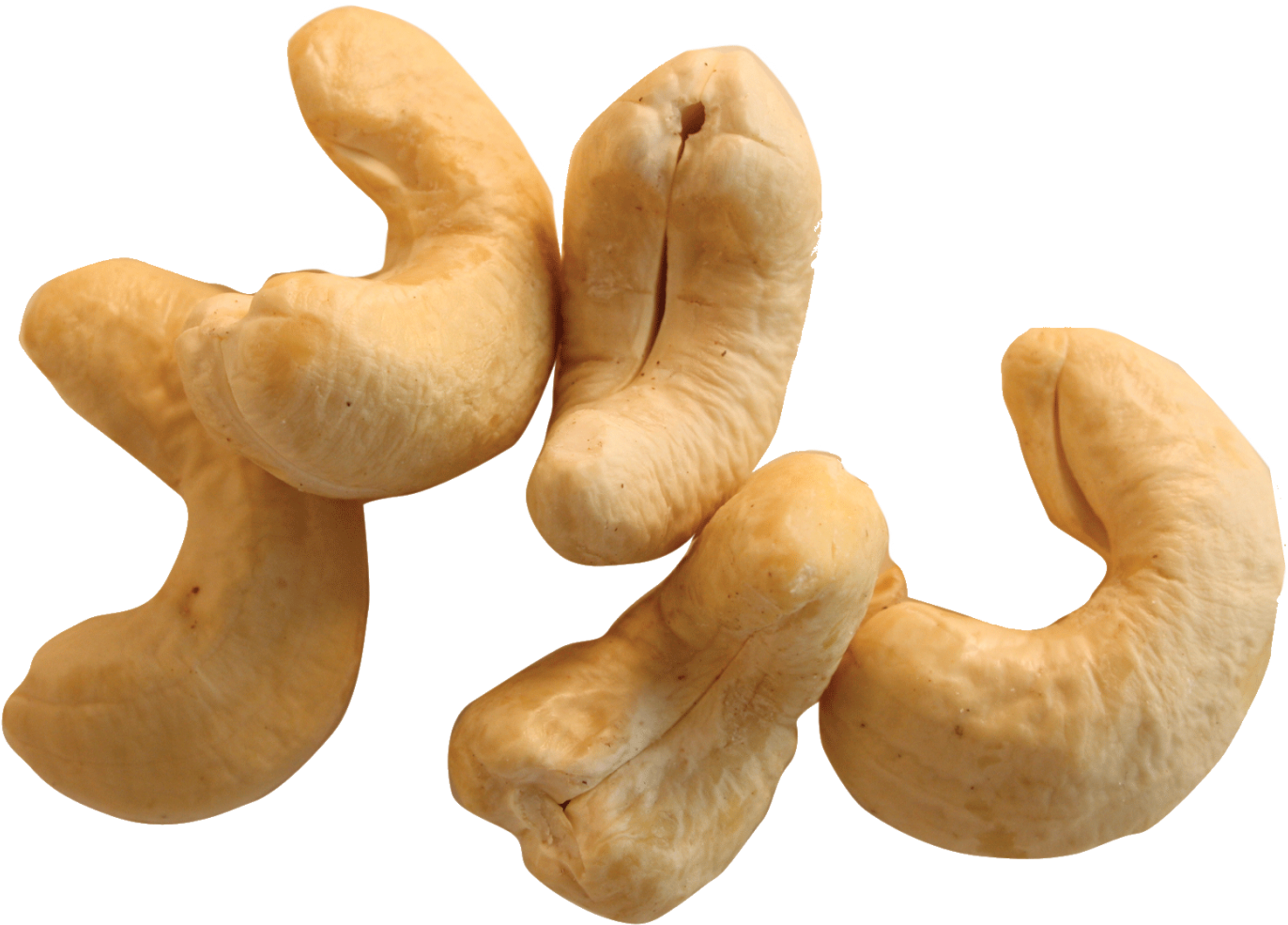 Cashew Nut Png - Kajoo Dry Fruit Tree (1980x1320), Png Download