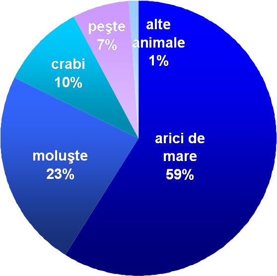 Common Sea Otter Food Distribution Ro - Sea Otter Food (862x568), Png Download