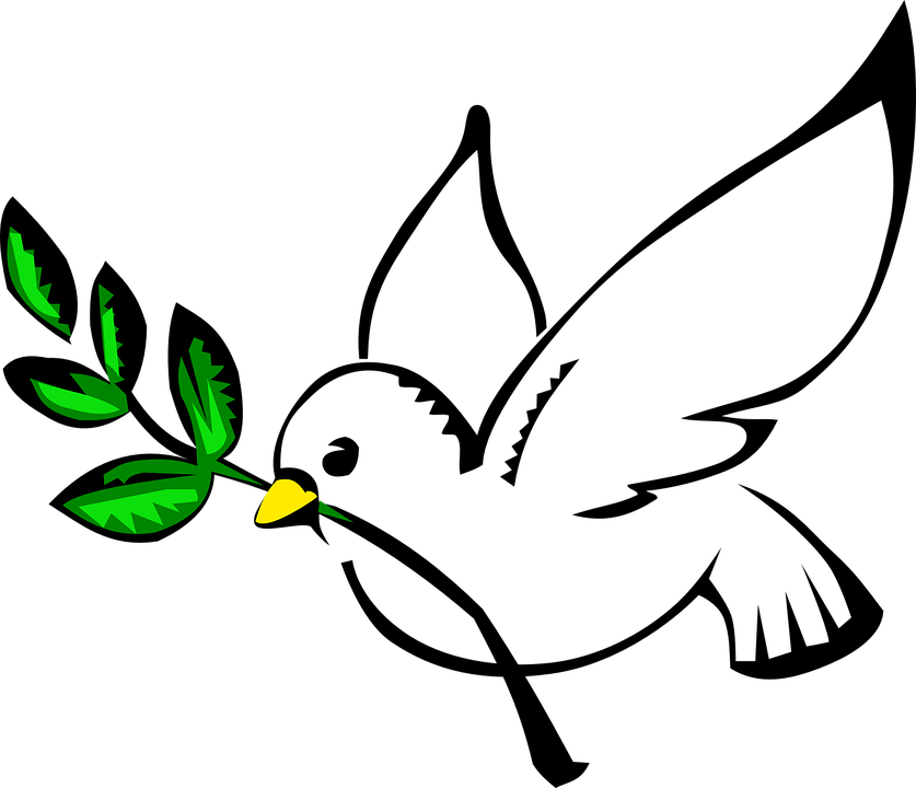White Dove 159498 960 720 837×720 Pixeles - Peace Dove (837x720), Png Download
