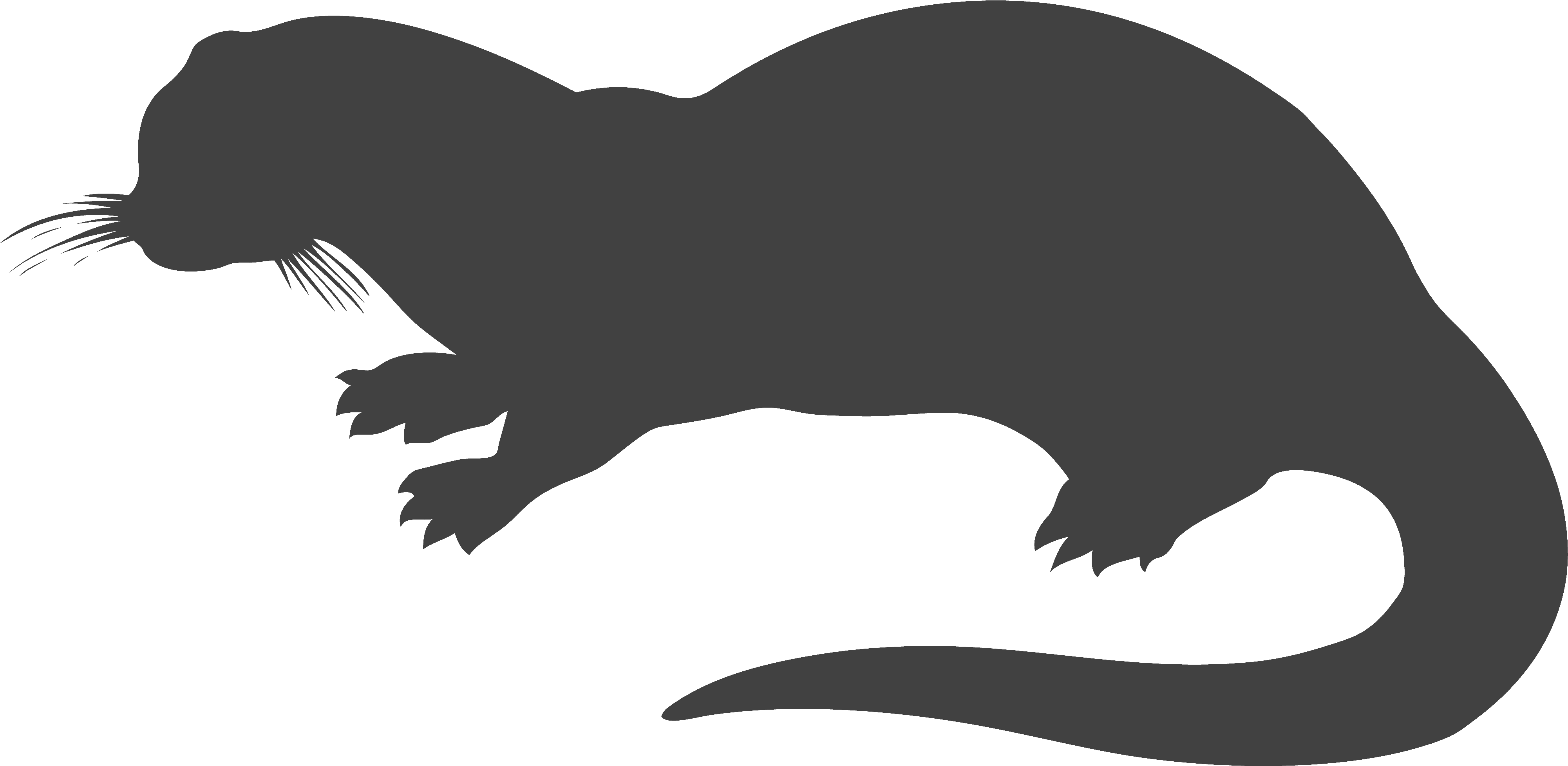 Otter Clipart Transparent Pencil And In Color Otter - Otter Silhouette (4364x2502), Png Download