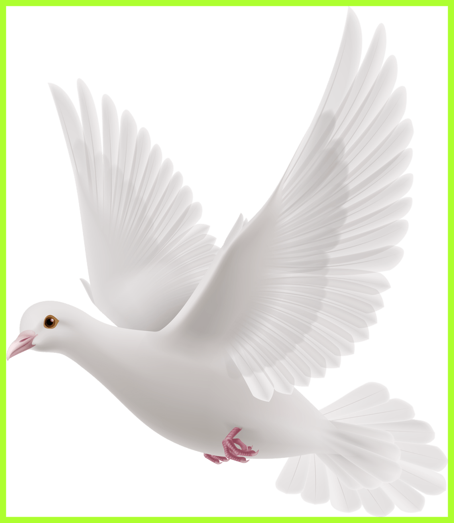 Fascinating Doves Preobrazovannyj Png Clip Art Album - Communication With Pigeon (907x1045), Png Download