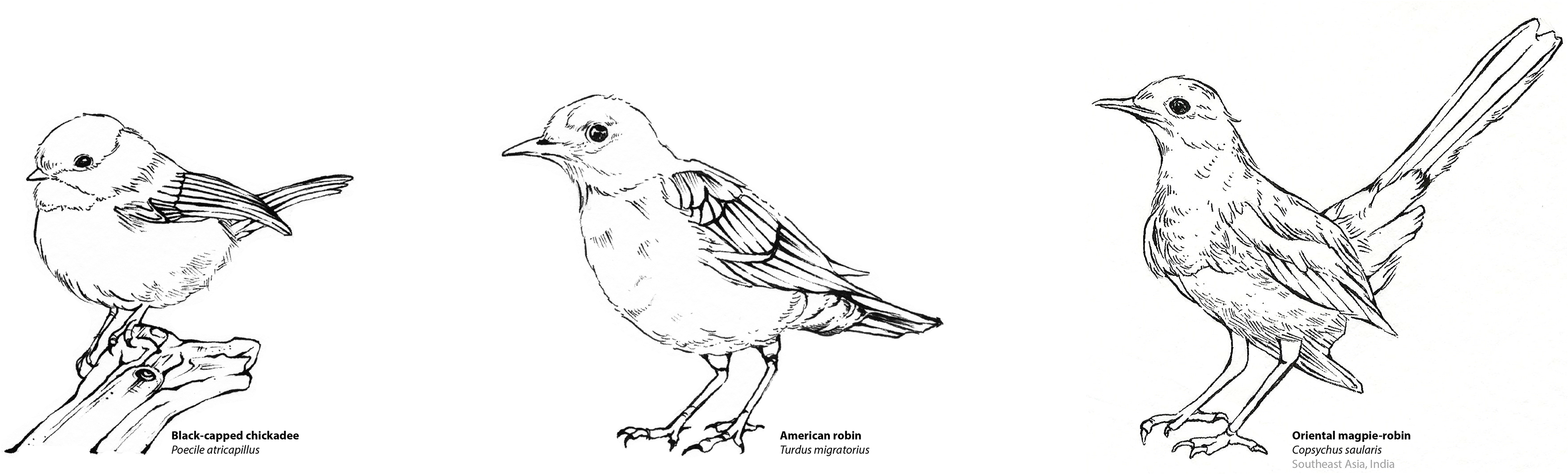 See My Sketchbook Here - Illustration (3840x2160), Png Download