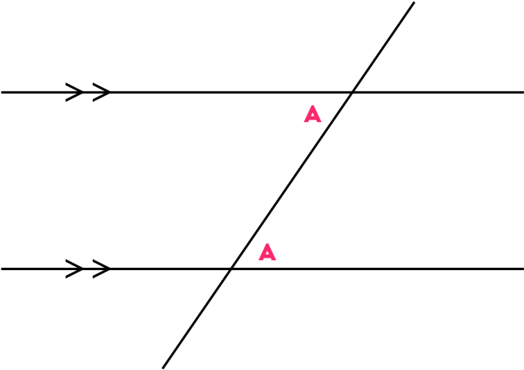 Alternate Angles Alternate Angles (1024x587), Png Download