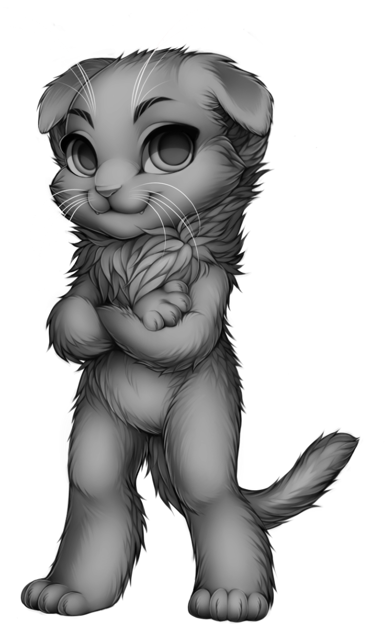 Cat Scottish Fold Base (813x1280), Png Download