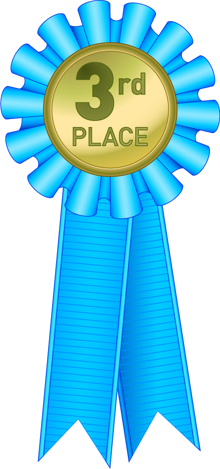 Ribbon Thirdplace (439x934), Png Download