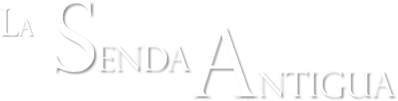 Logo (1328x356), Png Download