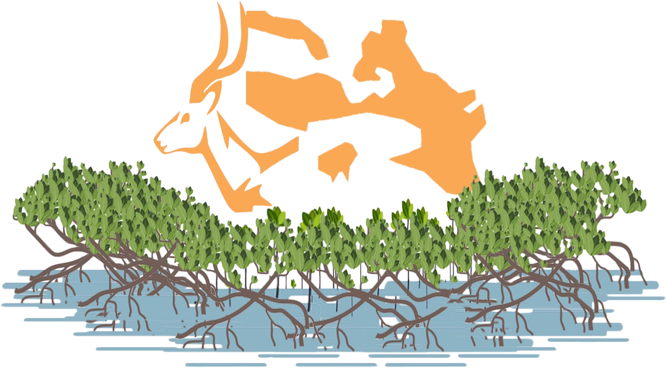 Designed By Rahmah Alqthanin, Phd Student Of Biological (2730x1536), Png Download