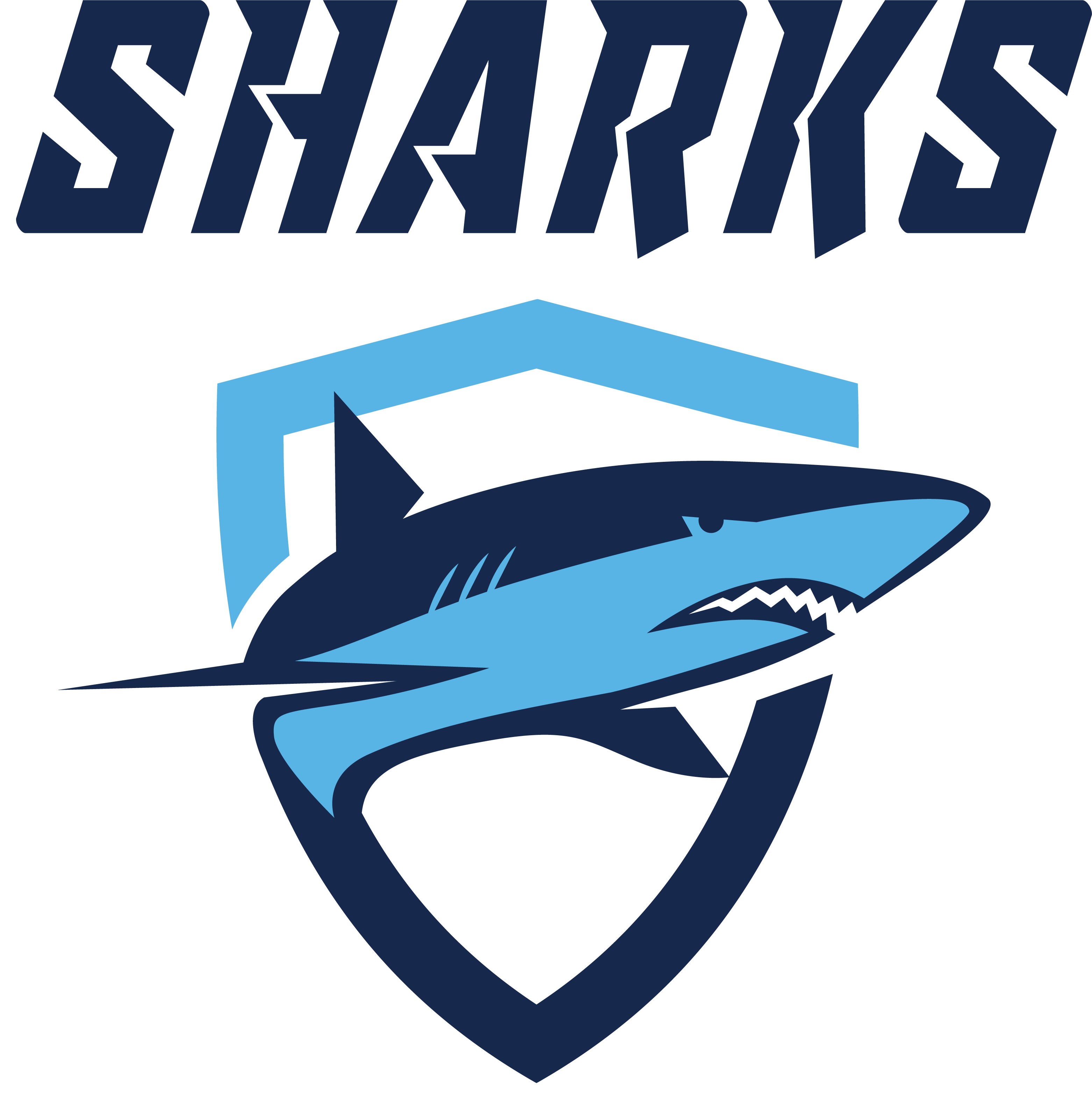 Sharks Swim Club (3123x3155), Png Download