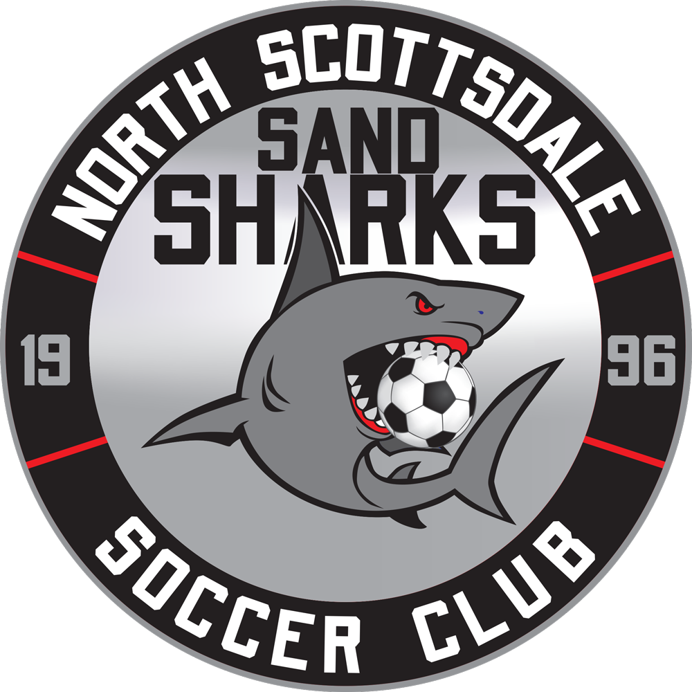Sharks Logo Png (1000x1000), Png Download