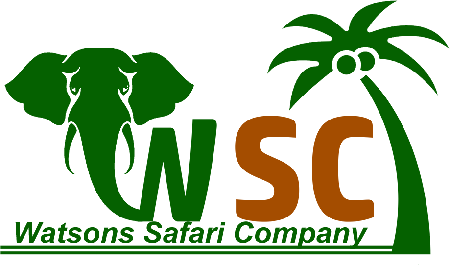 Knight Logo (1000x608), Png Download