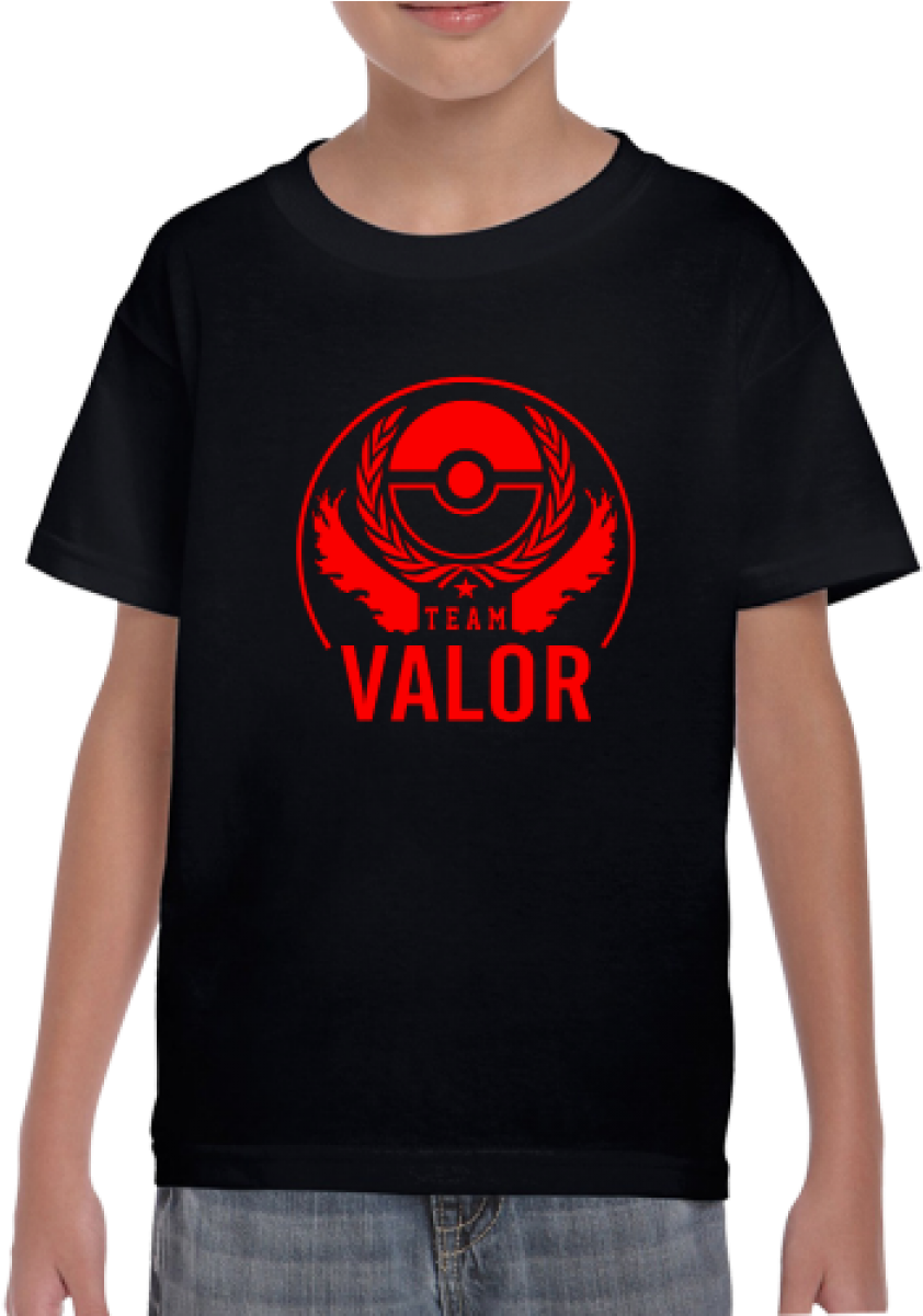 Team Valor Logo Png (1200x1200), Png Download
