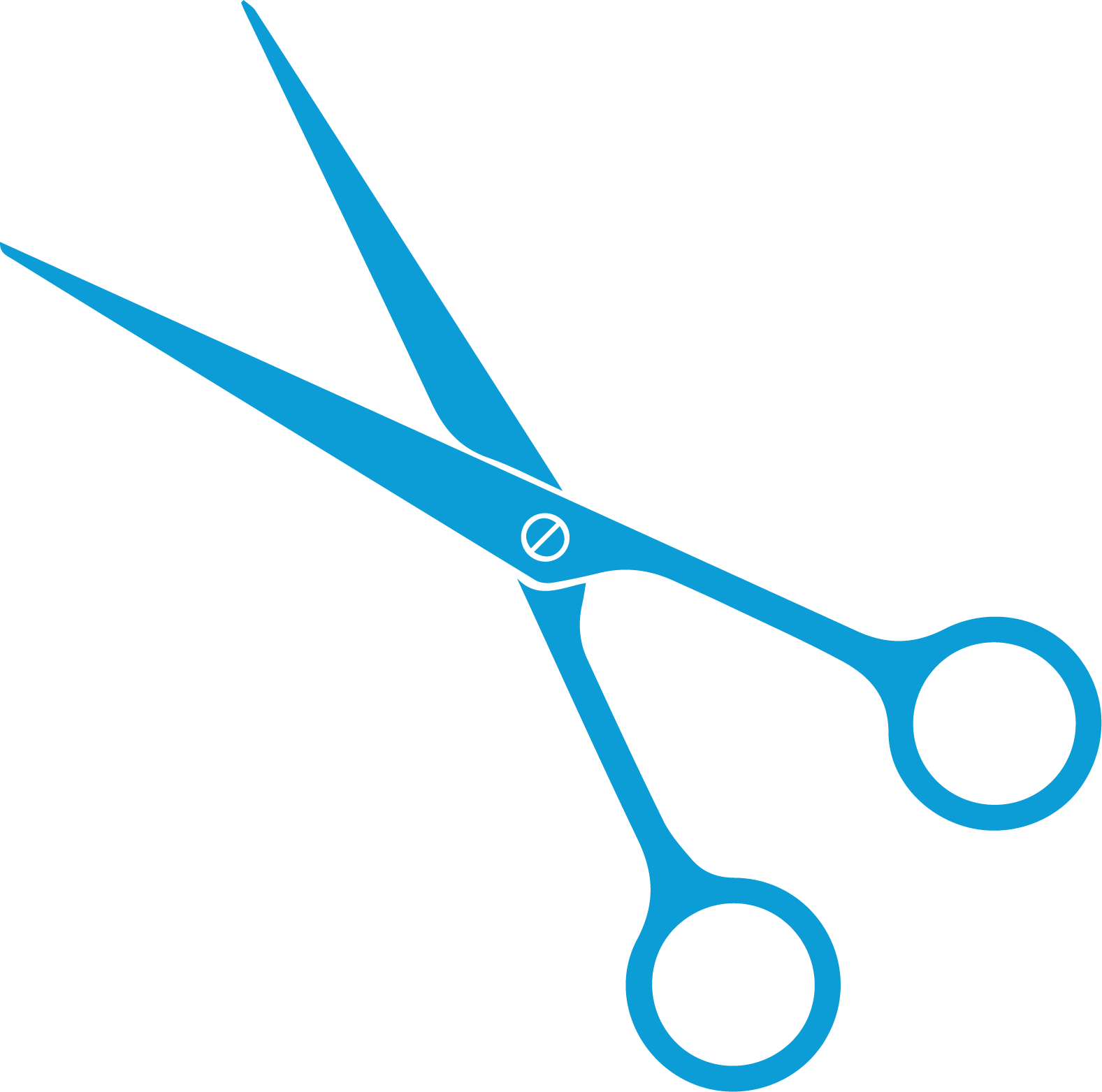 Coupe Sur Cheveux Secs (1577x1563), Png Download