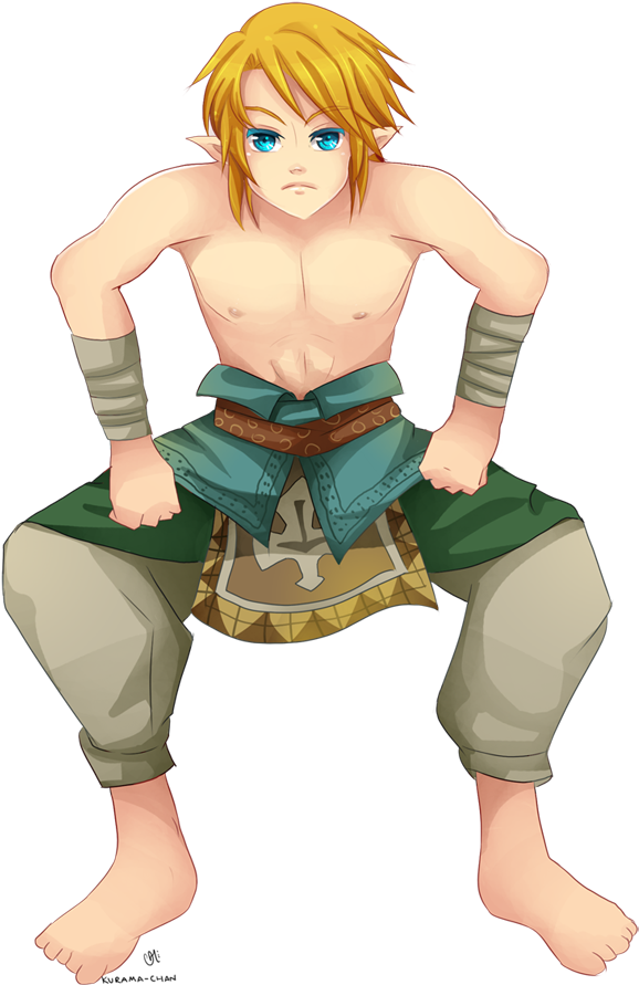 Zelda Twilight Princess (644x1000), Png Download