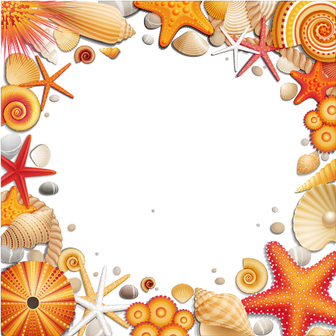 Clipart Freeuse Library Seashell Seaside Resort Clip (567x567), Png Download