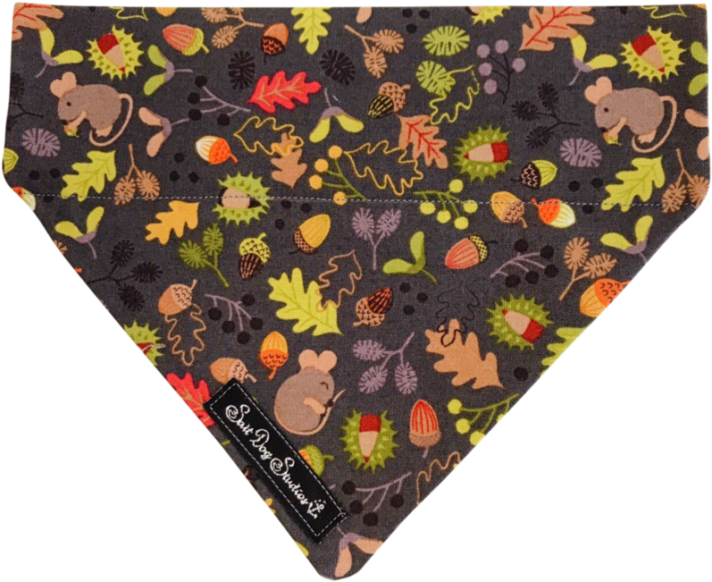 Salt Dog Studios Cosy Critters Autumn Bandana (1023x758), Png Download