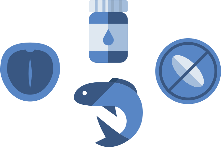 Icon Of Macadamia Nut, Fish And Pill Bottle (900x500), Png Download