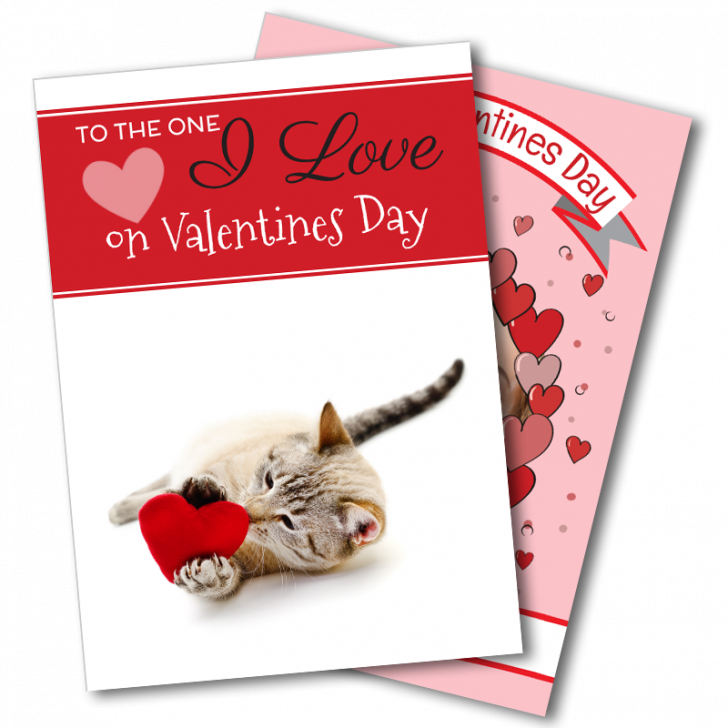 Next Day Card Delivery (728x728), Png Download