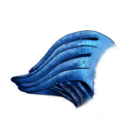 Asari1 164kb Feb 01 2011 (1200x1200), Png Download