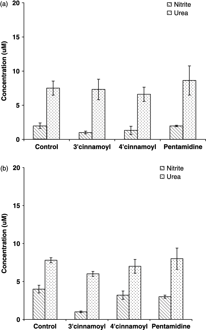 Arginase Activity From L (666x1080), Png Download