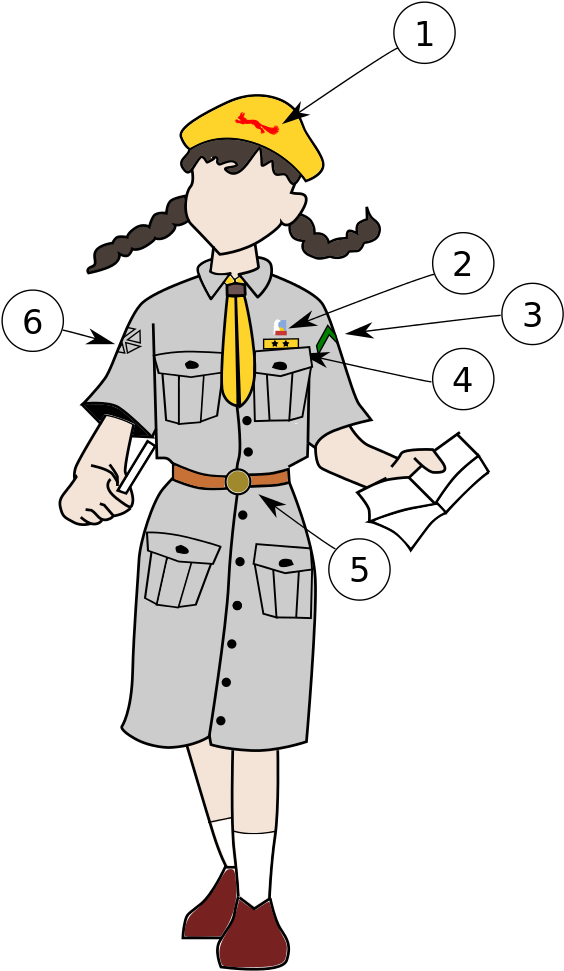 Polish Scout Organizacja Harcerska "rodło" Brownie (617x1023), Png Download