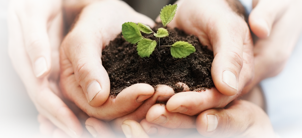 Planting Communities, One Seed At A Time (1015x463), Png Download