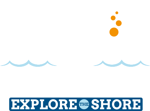 Sea The Difference (1280x598), Png Download