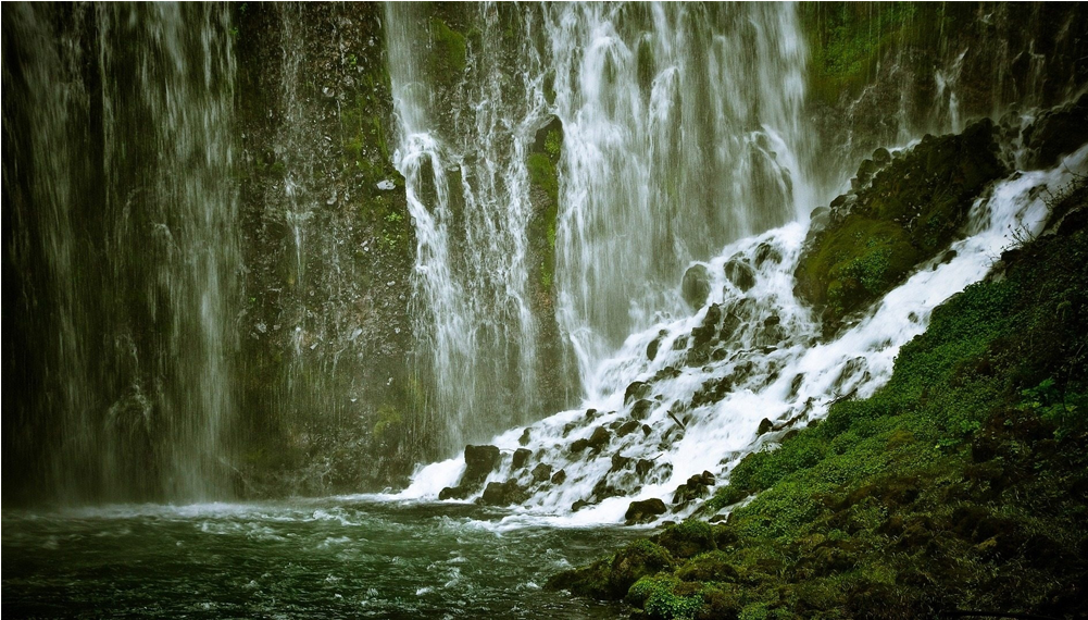 Green Wall Png (1000x1000), Png Download