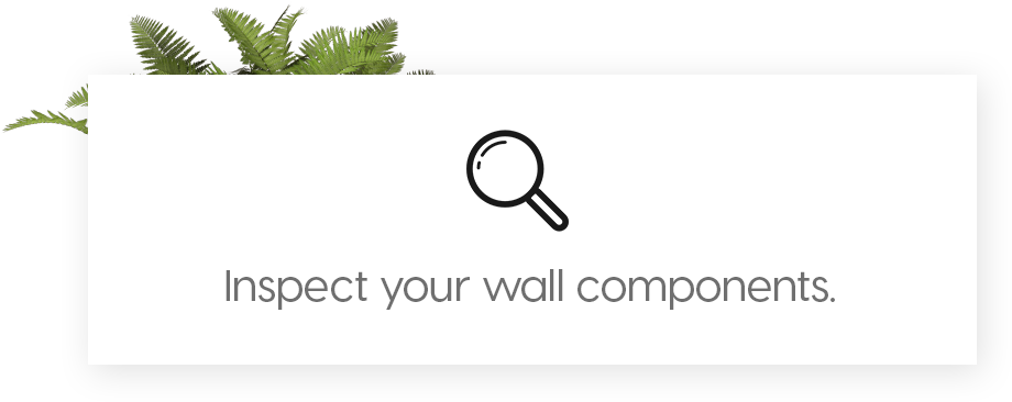 A Green Wall Is Constantly Evolving, And Its Success (966x400), Png Download