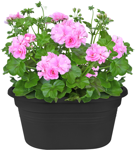 Home > Collection > Green Basics Wall Basket (750x750), Png Download