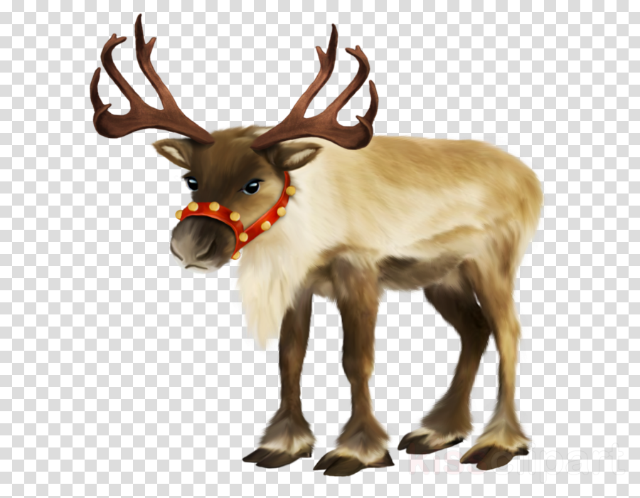 Rudolph The Red Nosed Reindeer Png (900x700), Png Download