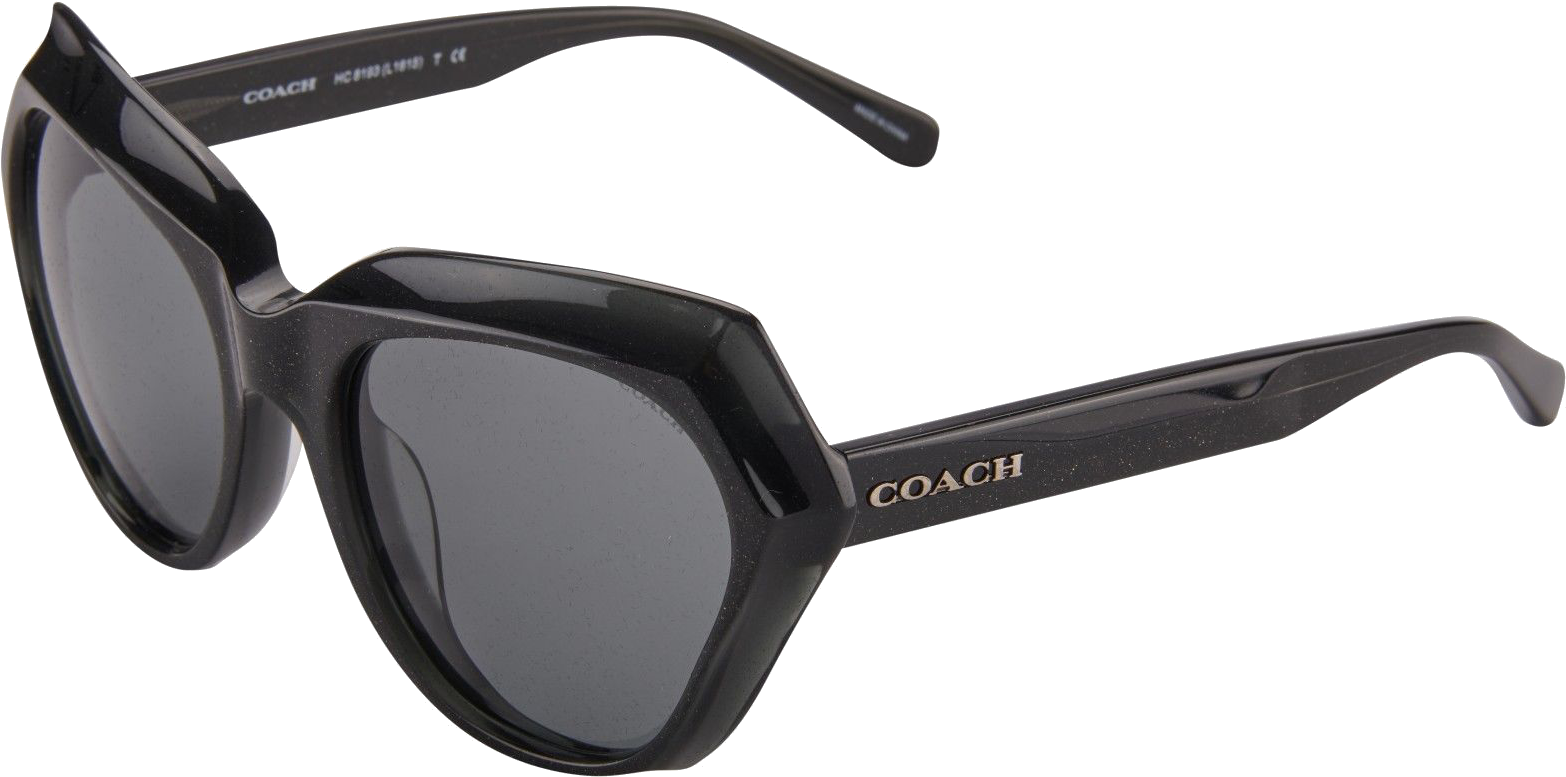 Coach Womens Sunglasses Hc8193 542487 Dark Grey Glitter (1600x810), Png Download