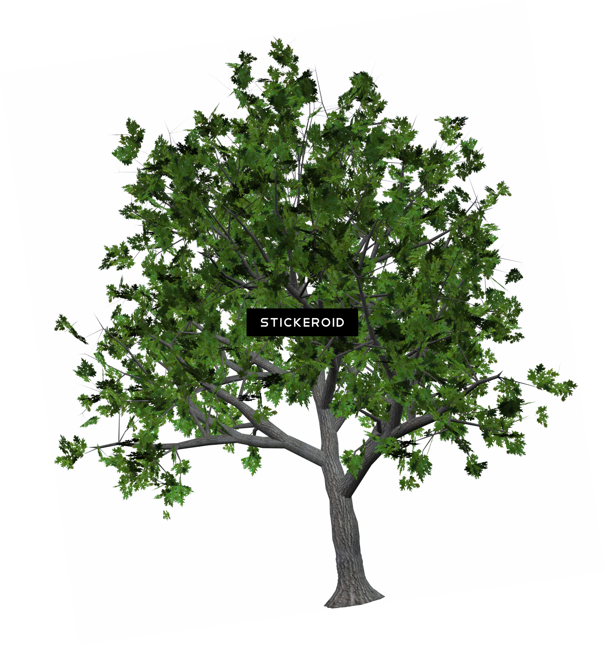 Tree (1953x2083), Png Download