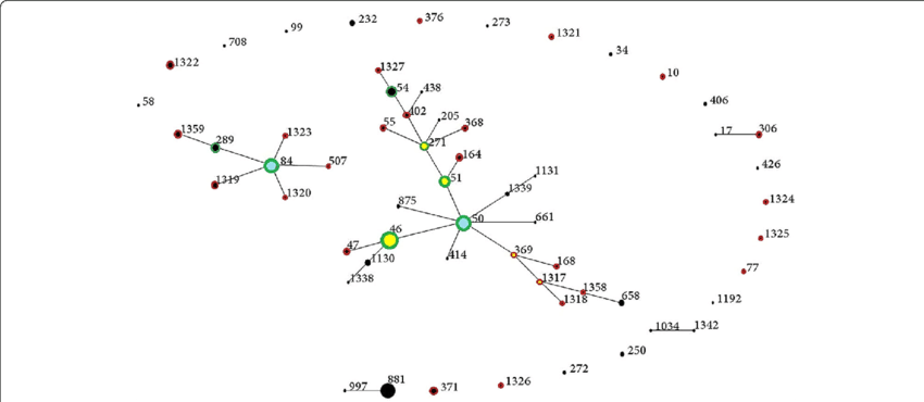 Pseudomallei Sts In Malaysia Showing Sts Added By This (850x370), Png Download