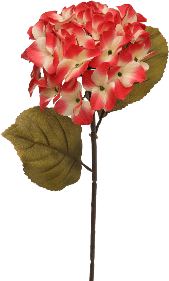 Hydrangea Artificial Flower Stem (640x960), Png Download