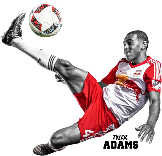 New York Red Bulls Png Pluspn (800x544), Png Download